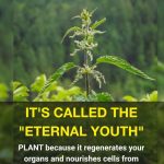 Outdoor Stair Projects to Upgrade The Hillside Landscape