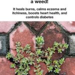 Join your hands and discover your hidden personality type