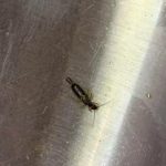 5 Health Risks of Using the Wrong Pillow