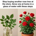 What an Elephant Statue at a Front Door Means