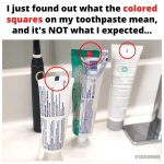 The Right Way to Help Bees: A Beekeeper’s Insight