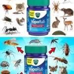 A Simple, Satisfying Strawberry Yogurt Dessert (Ready in Minutes)