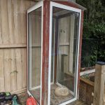 Mullein: The Powerful Healing Herb Growing Everywhere That Most People Don’t Know About