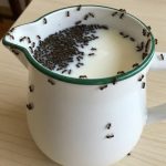 The Strawberry Jelly Tapioca Dessert: A Retro Treat Worth Reviving