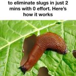 Leaving Butter on the Counter: Is it Safe?