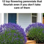 Should Adults Be Able to Order Off the Kids’ Menu? Let’s Settle the Debate