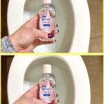 How to Get Rid of Spiders Inside Your House