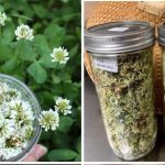 Pick Your Ring and Discover What It Says About You