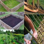 Yarrow: A Timeless Herbal Ally with Amazing Health Benefits