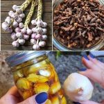 Discover How My Sister Transformed Bottle Caps into a Beautiful, Creative, and Unique Item