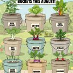 How you test a raw egg for freshness