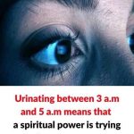 Creamy Coconut Ice Cream