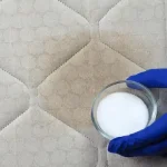 Jimmy Carter Dessert: A Southern Delight