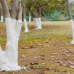 How To Remove Years Of Grease And Grime From Your Oven