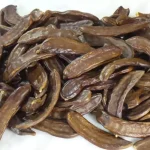 Make Any Plant Double in Size (in 120 Hours)