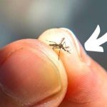 The First Three Colors You See Reveal The Burden You Carry