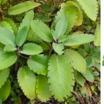 Urinating between 3 a.m. and 5 a.m. means that a spiritual power is trying to give you a message