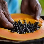 Home-made coffee ice-cream