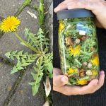 How We Eat Corn All Winter Long – Just Like It’s Fresh