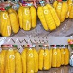 The Mighty Dandelion: Nature’s Hidden Treasure