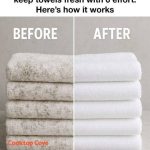 How We Eat Corn All Winter Long – Just Like It’s Fresh