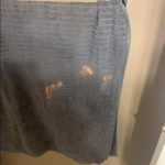 How to Preserve Fresh Blueberries at Home for Months