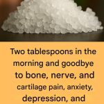 Why You Should Hang A Pine Cone Near Your Garden