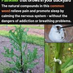 How To Put A Delicious Spin On Grilled Cheese