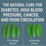 Embrace the Delightful Beetroot, Carrot, and Cabbage Salad! 🥕🥬