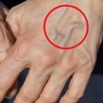 ATTENTION!!! This is not a weed but a delicious salad!