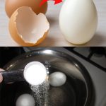 Lemon Pesto: the 5 Minute No-Bake Recipe for a Refreshing, Creamy and Light Delicious Pesto!