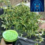 P.r.i.v.a.t.e parts smell like fish: you should know that …