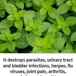 Nighttime Detox Juice