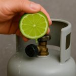 Goosegrass (Eleusine indica): A Natural Ally for Kidney Health