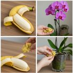 My Only Daughter Isn’t Getting Any of My Inheritance—No Kids, No Money