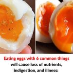 Multistate salmonella outbreak linked to egg recall sickens dozens: CDC