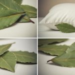 Stop buying another rose tree at the store. Grow one at home in a glass of water with these steps