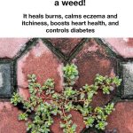 My Refrigerator Salad Bar: The Simple Hack That Got Everyone Eating More Greens