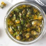 Euphorbia Hirta: 17 Amazing Medicinal Uses of This Powerful Herb