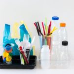 Home Remedies with Cuban Oregano (Orégano Orejón) to Improve Vision