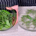 Clove benefits for Skin – Clove Oil, Clove Gel & Clove ice cubes