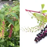 Did an unknown number call you? No problem: discover its identity with a simple trick