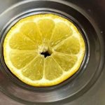 15 Best Wildflowers to Plant in October for a Blooming Spring Meadow