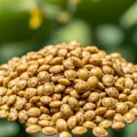 Cloves for the Skin: Benefits and How to Use Them