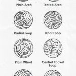 Air Fryer Tajín Sweet Potato Fries