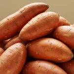 The Science of Smudging: What Sage Does to Bacteria