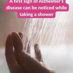 Whipped Strawberry Cream (Light, Fluffy, and Naturally Sweet)