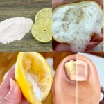 The Perfect Nighttime Tea: Hibiscus, Bay Leaf & Cinnamon for Restful Evenings