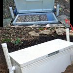 Onion Drink for Eye Health: Nutritional Support from the Inside Out