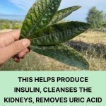 7 Things We Shouldn’t Tell Anyone